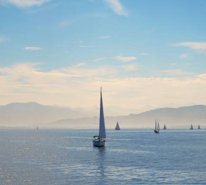 Segelboote auf dem Bodensee