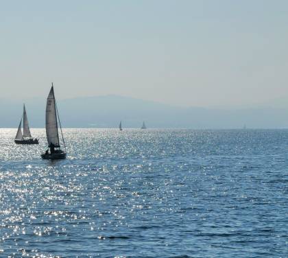 Segelboote auf dem Bodensee