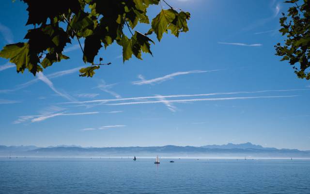 Blick über den Bodensee