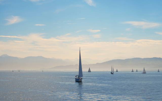 Segelboote auf dem Bodensee