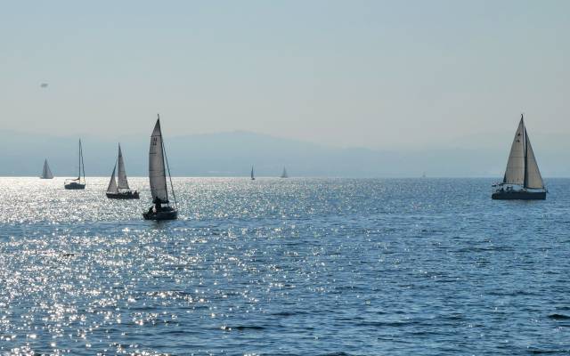 Segelboote auf dem Bodensee