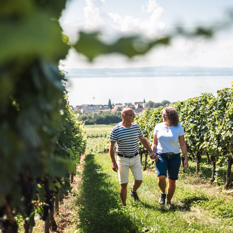 Paar läuft durch die Reben am Bodensee