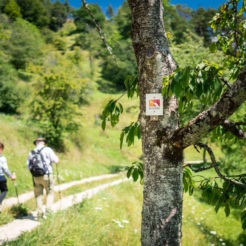 Wanderweg Markierung in der Natur am Baum
